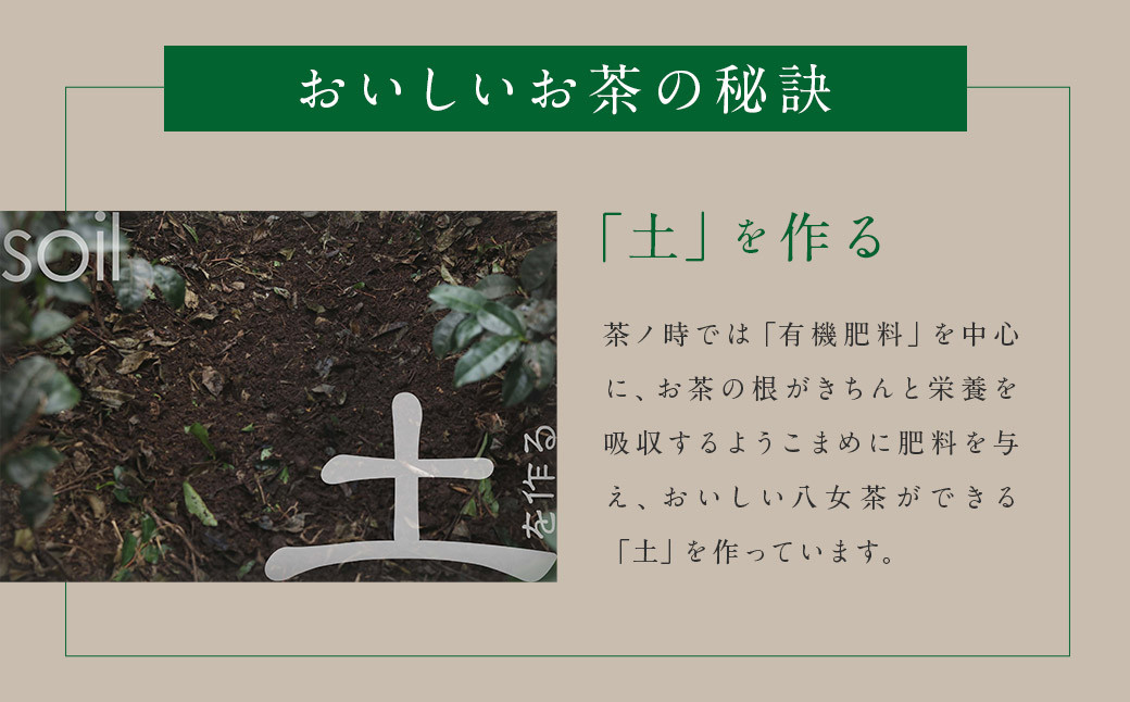 2026年度産「特上新茶 寿季 kotobuki」 70g×3袋