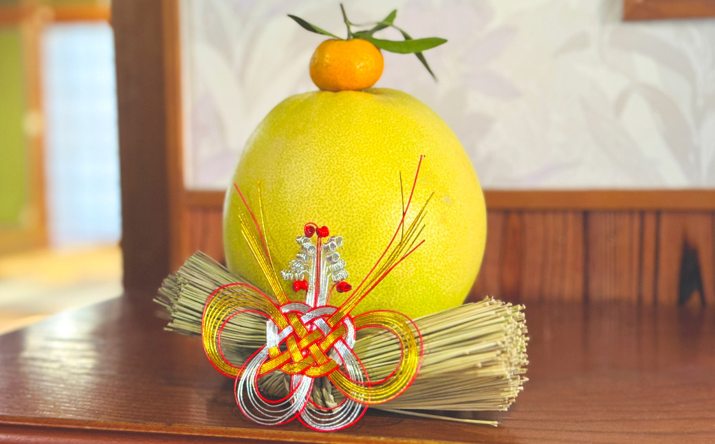 見て楽しい、食べて楽しい返礼品です♪