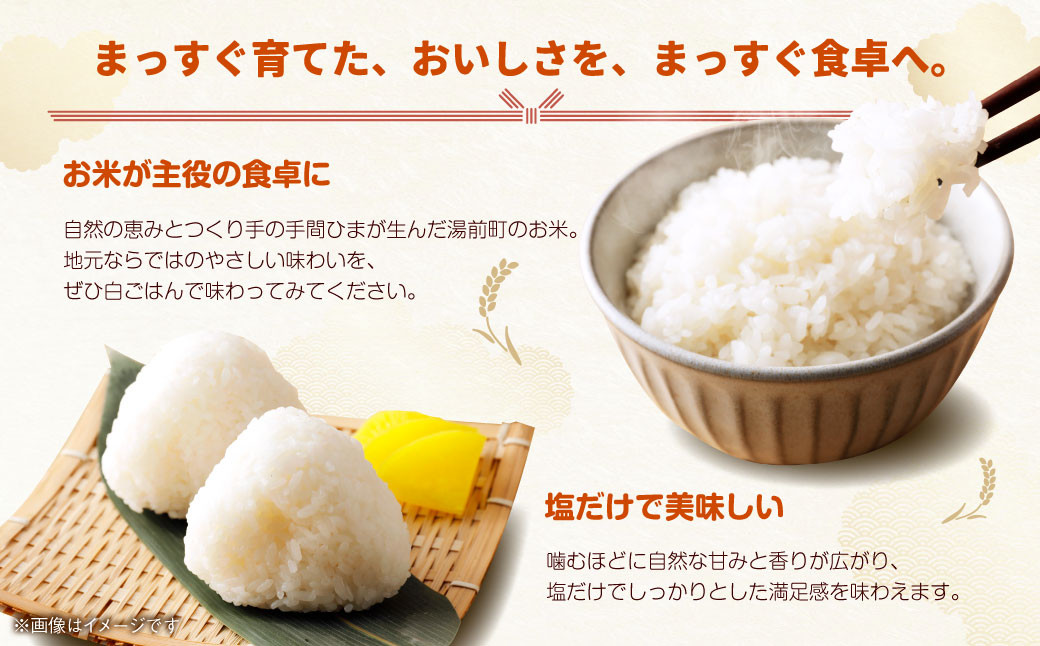 「訳あり」湯前町のお米 5kg