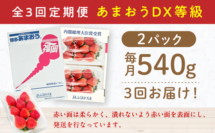 果物 あまおうDX等級。いちご イチゴ 苺 ストロベリー