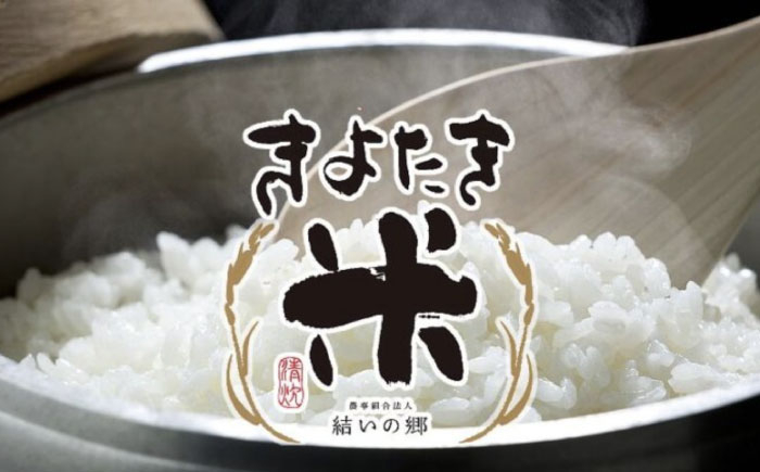 白米 きぬむすめ 小分け 便利 ごはん お弁当 お取り寄せ 家族 国産 おいしい