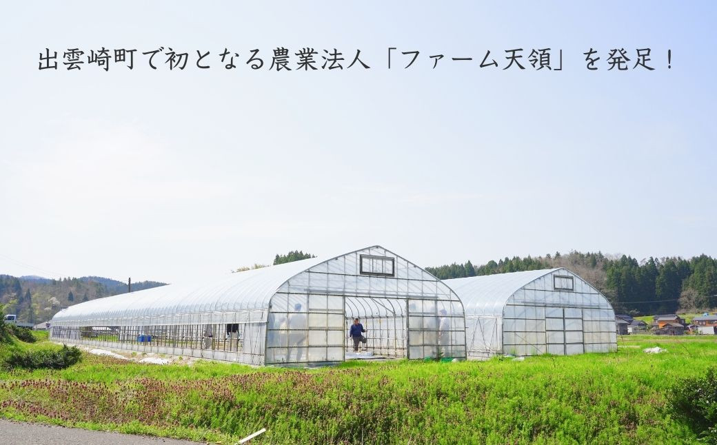稲作では出雲崎町で初めての農業法人「ファーム天領」