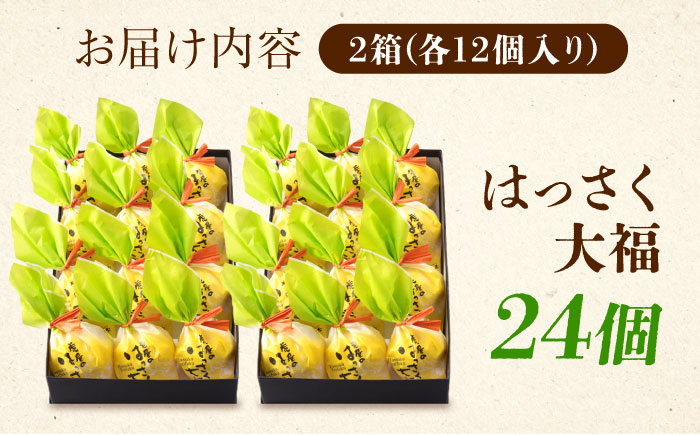 お菓子 はっさく大福