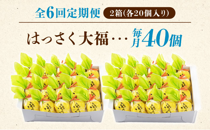お菓子 はっさく大福