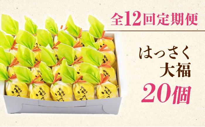 お菓子 はっさく大福