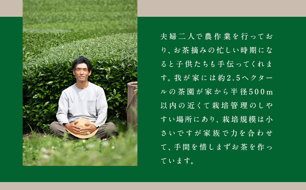 2026年度産「極上新茶 慶日 yorokobi」 50g×3袋