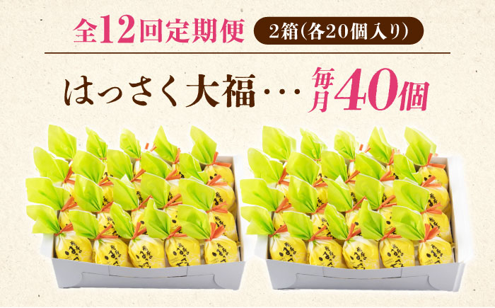 お菓子 はっさく大福