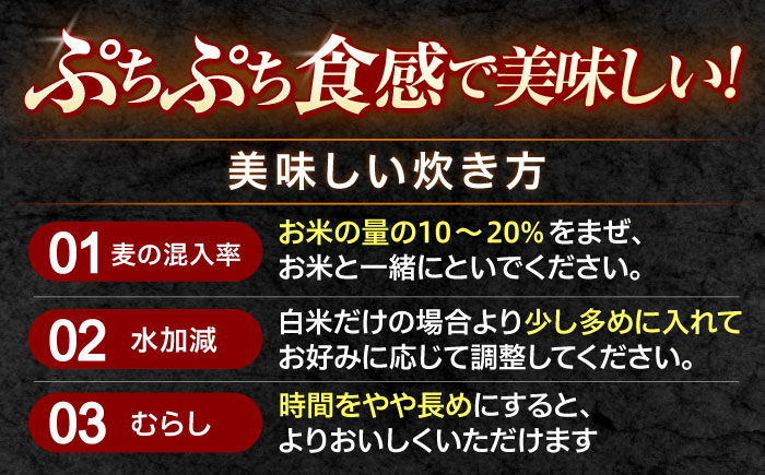 麦 押麦 はだか麦 麦味噌 麦ごはん 雑穀 雑穀米 食物繊維 10キロ 長崎県産 米 こめ コメ ※