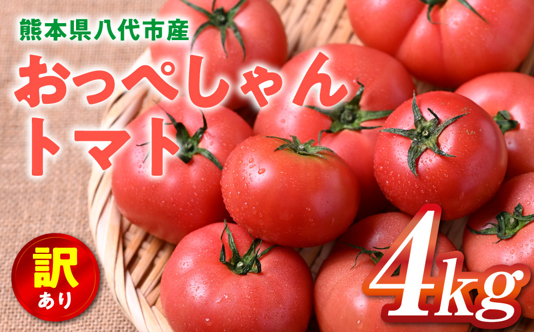 熊本県八代市産 訳あり おっぺしゃんトマト4kg