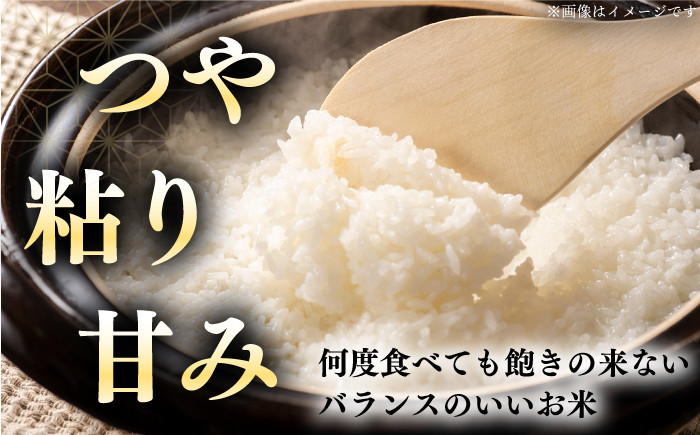 米 お米 白米 ななつぼし ブランド米 特A ご飯 5kg 北海道