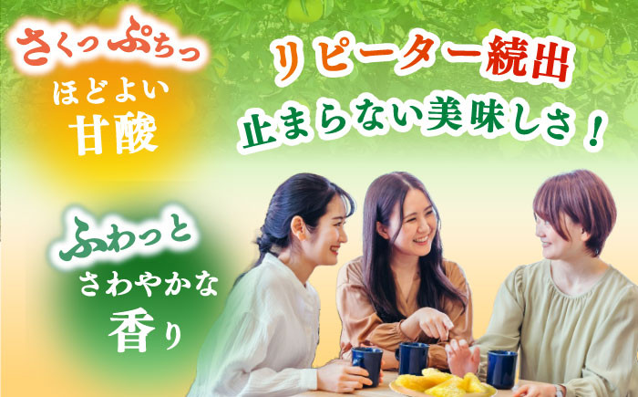 サワーポメロ 約 5kg 先行予約 国産 柑橘 果物 くだもの 文旦 フルーツ お取り寄せ 文旦 ぶんたん ボンタン ぼんたん