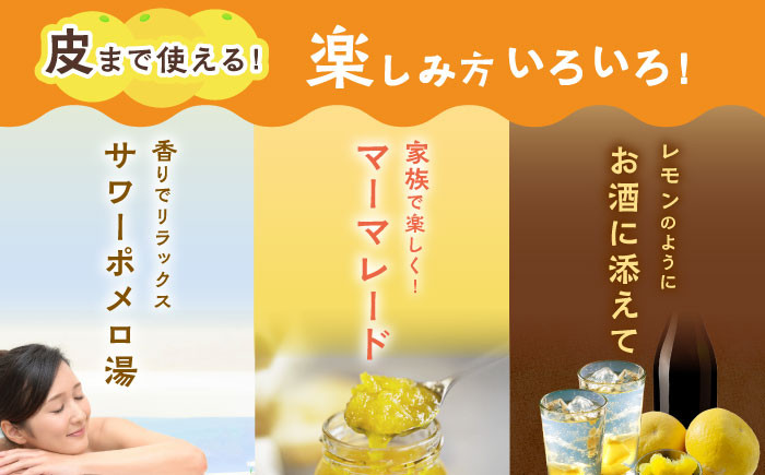 サワーポメロ 約 5kg 先行予約 国産 柑橘 果物 くだもの 文旦 フルーツ お取り寄せ 文旦 ぶんたん ボンタン ぼんたん