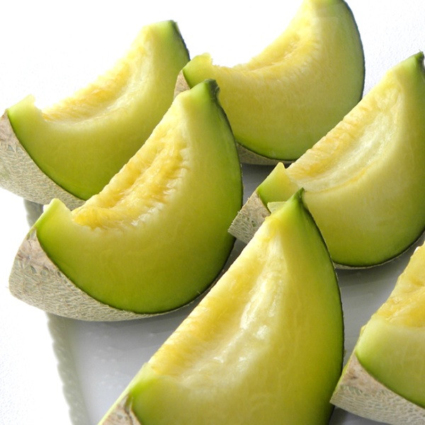 メロンの大産地、庄内砂丘のメロンは昼夜の温度差でぐっと甘くなります！