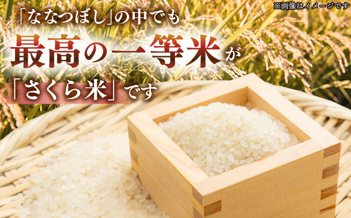 米 お米 白米 ななつぼし ゆめぴりか ブランド米 特A ご飯 10kg 北海道