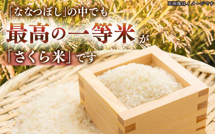 無洗米 お米 白米 ななつぼし ブランド米 特A ご飯 10kg 北海道 