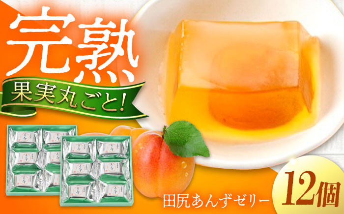 700日熟成 瀬戸内果実 ゼリー あんず フルーツ デザート おやつ