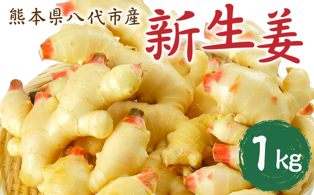 八代市東陽町産 新生姜1kg
