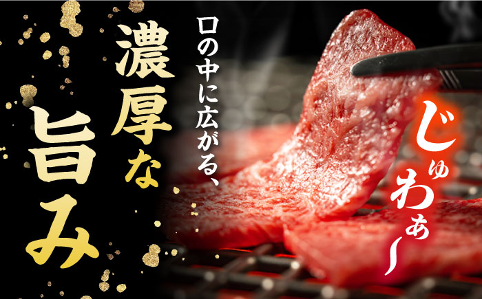 冷凍 牛肉 ブランド牛 和牛 長崎和牛 肩ロース バラ 贈答 高級 贈り物 贅沢