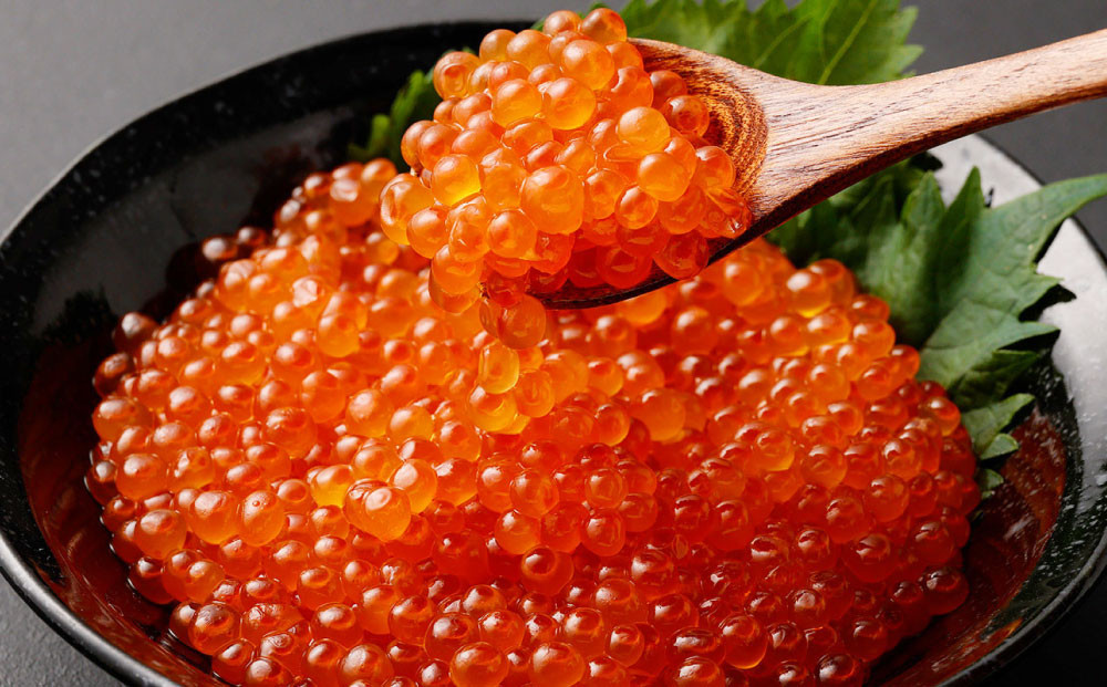 【6回定期便】いくらの醤油漬け 500g（250g×2）