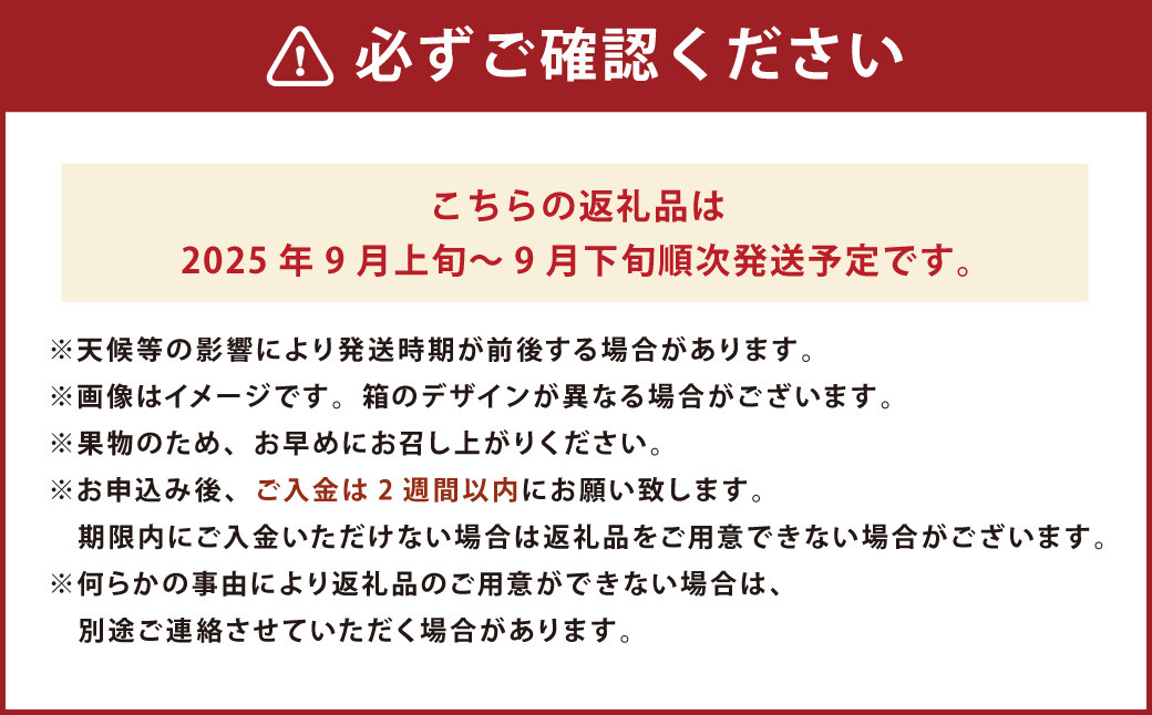福岡県産 極早生みかん・早味かん 約2kg 果物 くだもの フルーツ 柑橘 かんきつ 
