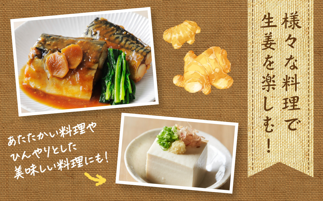 あたたかい料理やひんやりとした美味しい料理にも！