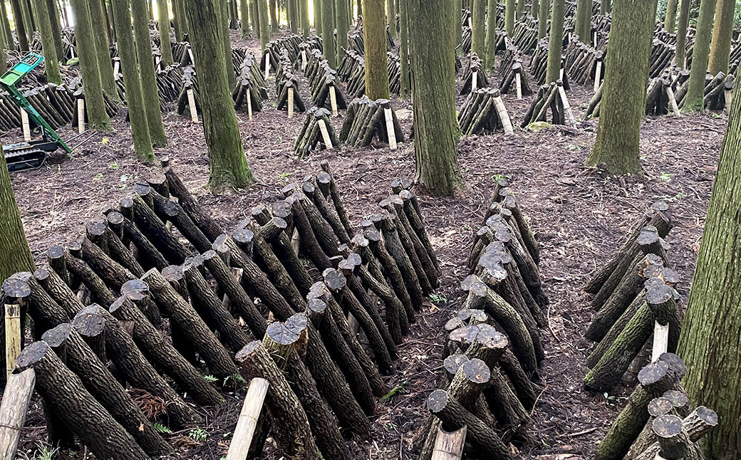 原木乾燥しいたけ小袋セット210g(70g×3袋)