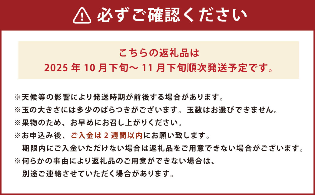 福岡県産ブランド柿・秋王 約3kg (8-12玉) 柿 カキ かき くだもの