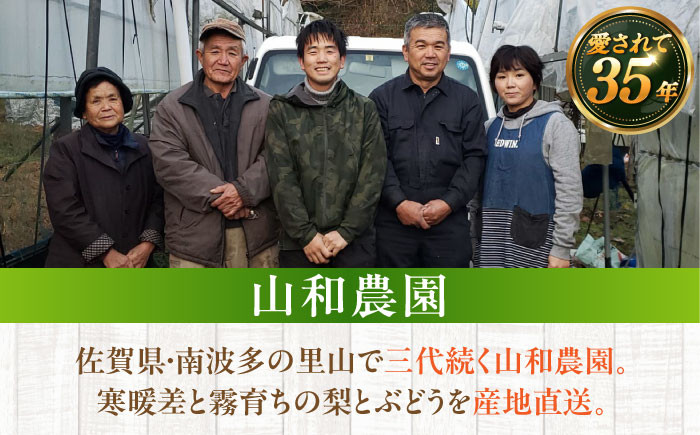 くだもの シャインマスカット ますかっと ぶどう 果物 くだもの 種なし 皮ごと