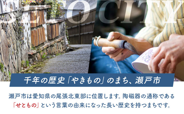 液体 洗濯洗剤 セット 600ml×2本、500ml×17袋