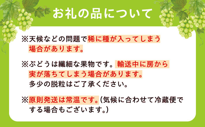 くだもの シャインマスカット ますかっと ぶどう 果物 くだもの 種なし 皮ごと