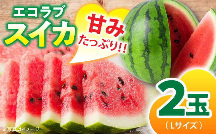 食品 果物 フルーツ おやつ デザート すいか スイカ 西瓜 エコラブ スムージー ヨーグルト ジュース