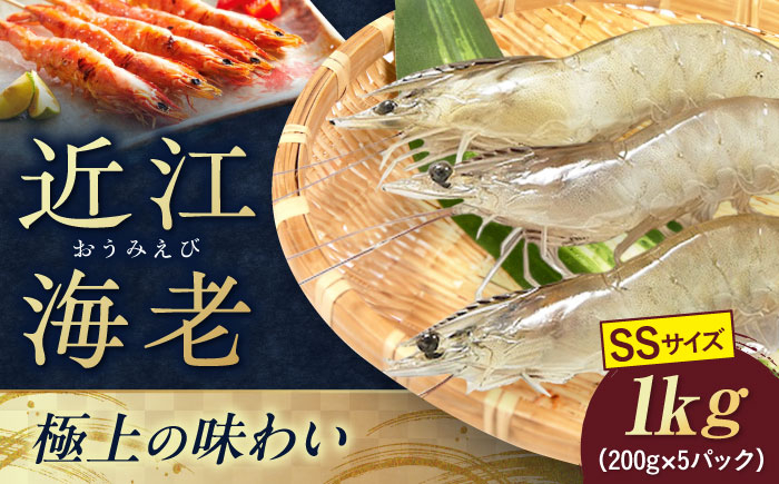 エビ 海老 えび 海鮮 魚介類 魚貝類 冷凍 小分け 国産 刺身 エビフライ