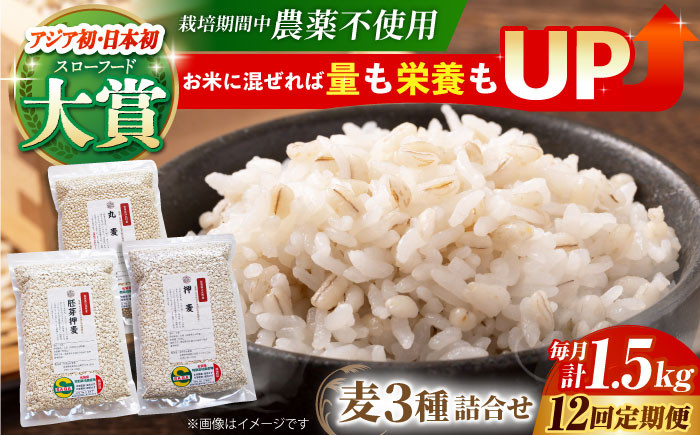 麦 雑穀 雑穀米 麦ごはん 1等麦 特別栽培農産物 佐賀 食物繊維 500g ご飯 食べ比べ セット 詰め合わせ