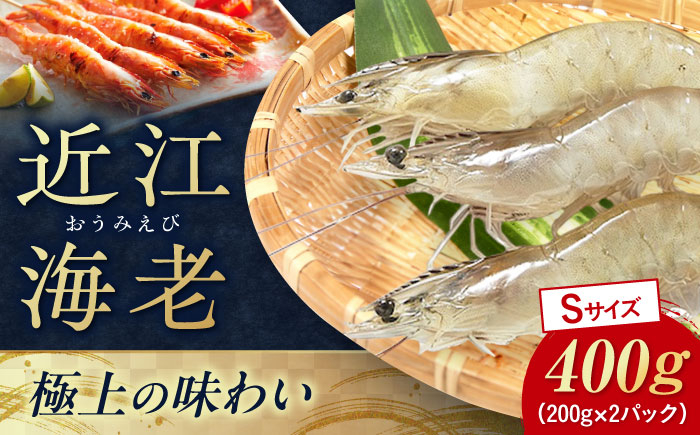 エビ 海老 えび 海鮮 魚介類 魚貝類 冷凍 小分け 国産 刺身 エビフライ