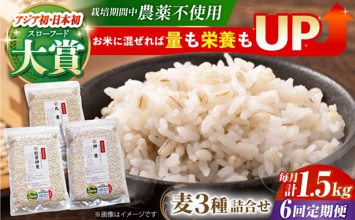 麦 雑穀 雑穀米 麦ごはん 1等麦 特別栽培農産物 佐賀 食物繊維 500g ご飯 食べ比べ セット