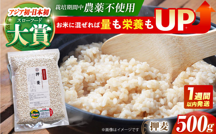麦 雑穀 雑穀米 麦ごはん 1等麦 特別栽培農産物 佐賀 食物繊維 健康 健康食品 栄養 500g