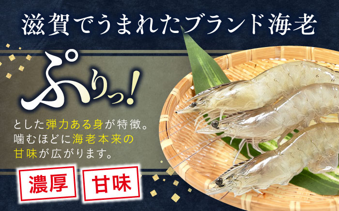 エビ 海老 えび 海鮮 魚介類 魚貝類 冷凍 小分け 国産 刺身 エビフライ