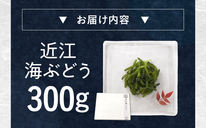 海ぶどう 海ブドウ 海藻 海産物 新鮮 海鮮サラダ ダイエット 健康 栄養 美容