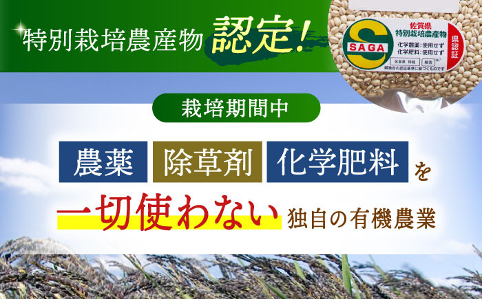 麦 雑穀 雑穀米 麦ごはん 1等麦 特別栽培農産物 佐賀 食物繊維 500g ご飯 食べ比べ セット 詰め合わせ