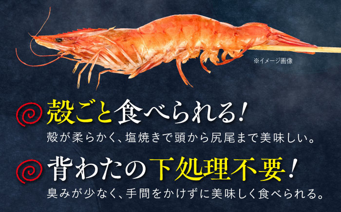 エビ 海老 えび 海鮮 魚介類 魚貝類 冷凍 小分け 国産 刺身 エビフライ