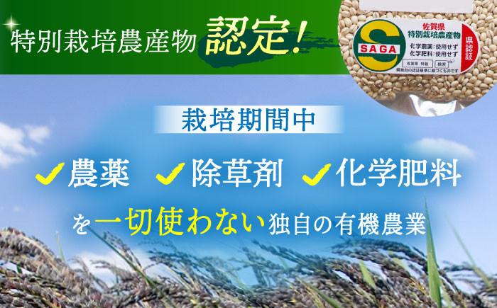 麦 雑穀 雑穀米 麦ごはん 1等麦 特別栽培農産物 佐賀 食物繊維 丸麦 500g ご飯 定期便