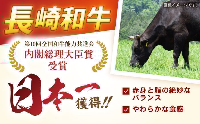 長崎和牛 和牛 肉 おかず 惣菜 ハンバーグ はんばーぐ 牛肉 100％ 国産