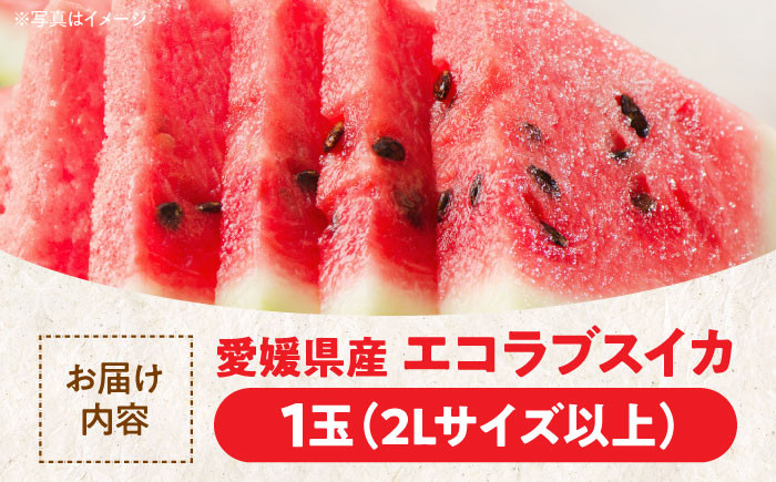 スイカ 夏 すいか 西瓜 かき氷 スイカジュース 甘い フルーツ 果物 フルーツポンチ デザート