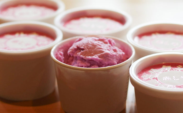 沼南ミルクジェラート 赤しそ