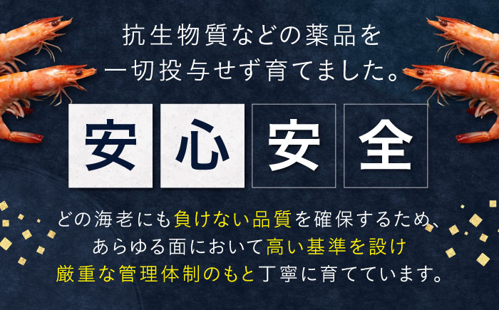 エビ 海老 えび 海鮮 魚介類 魚貝類 冷凍 小分け 国産 刺身 エビフライ
