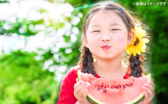 すいか 2玉 銀河
