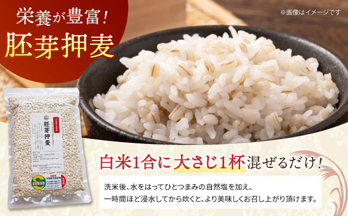 麦 雑穀 雑穀米 麦ごはん 1等麦 特別栽培農産物 佐賀 食物繊維 胚芽押麦 500g ご飯 定期便