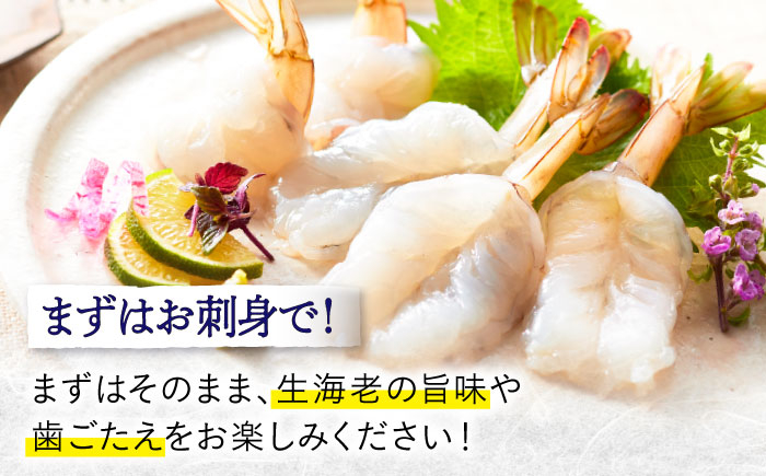 エビ 海老 えび 海鮮 魚介類 魚貝類 冷凍 小分け 国産 刺身 エビフライ