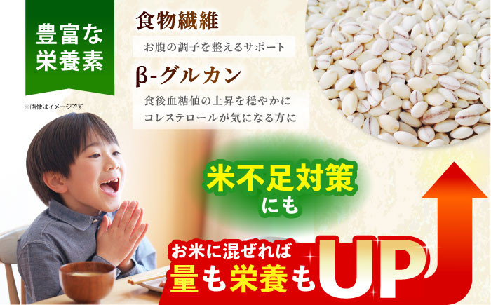 【栽培期間中農薬不使用】丸麦 500g＜1等麦使用＞江北町産 サチホゴールデン【葦農】[HAJ012] / 麦 雑穀 雑穀米