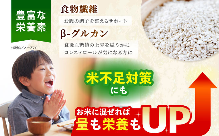 麦 雑穀 雑穀米 麦ごはん 1等麦 特別栽培農産物 佐賀 食物繊維 健康 健康食品 栄養 500g